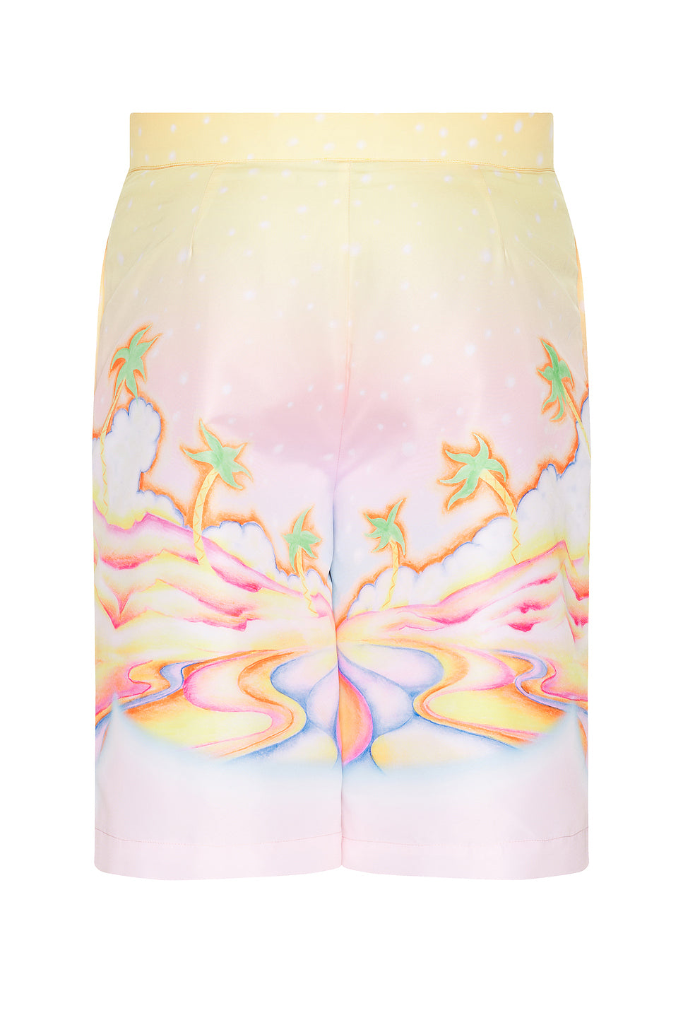Printed Swim Boarder Shorts