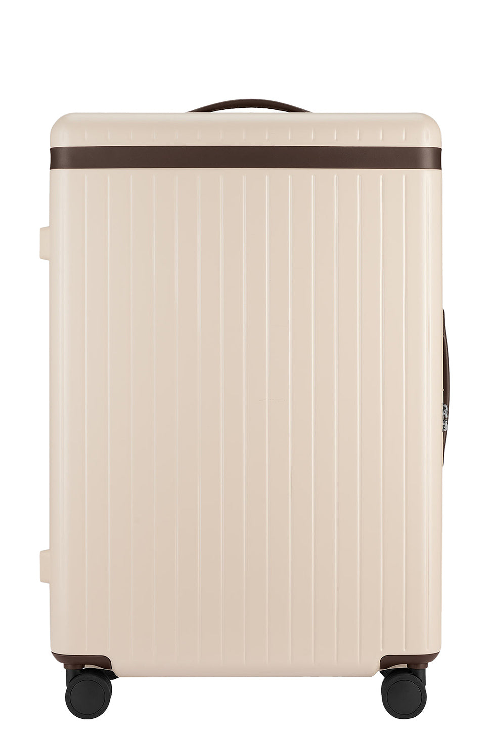 The Large Check-in Suitcase