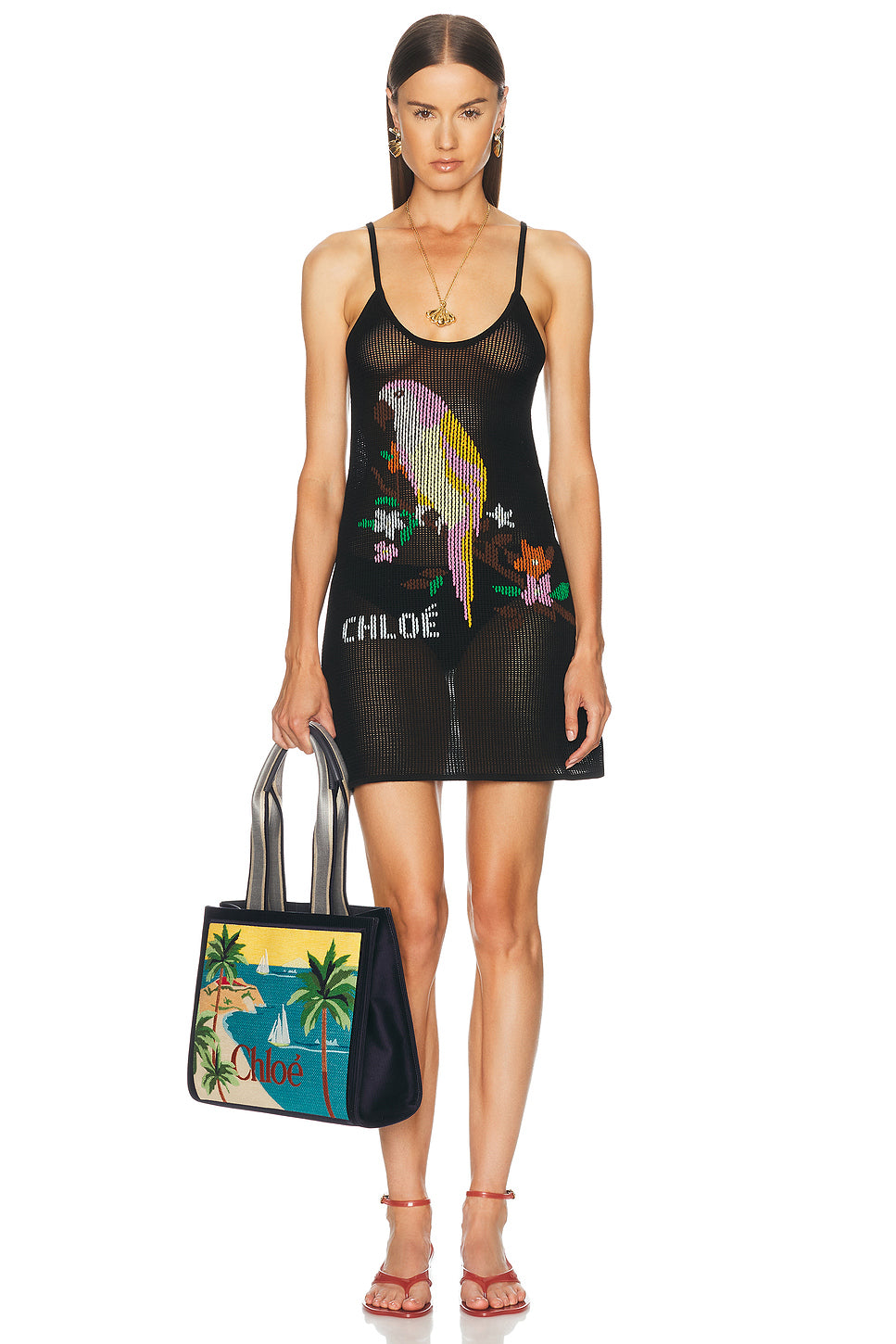 Parakeet Mini Dress