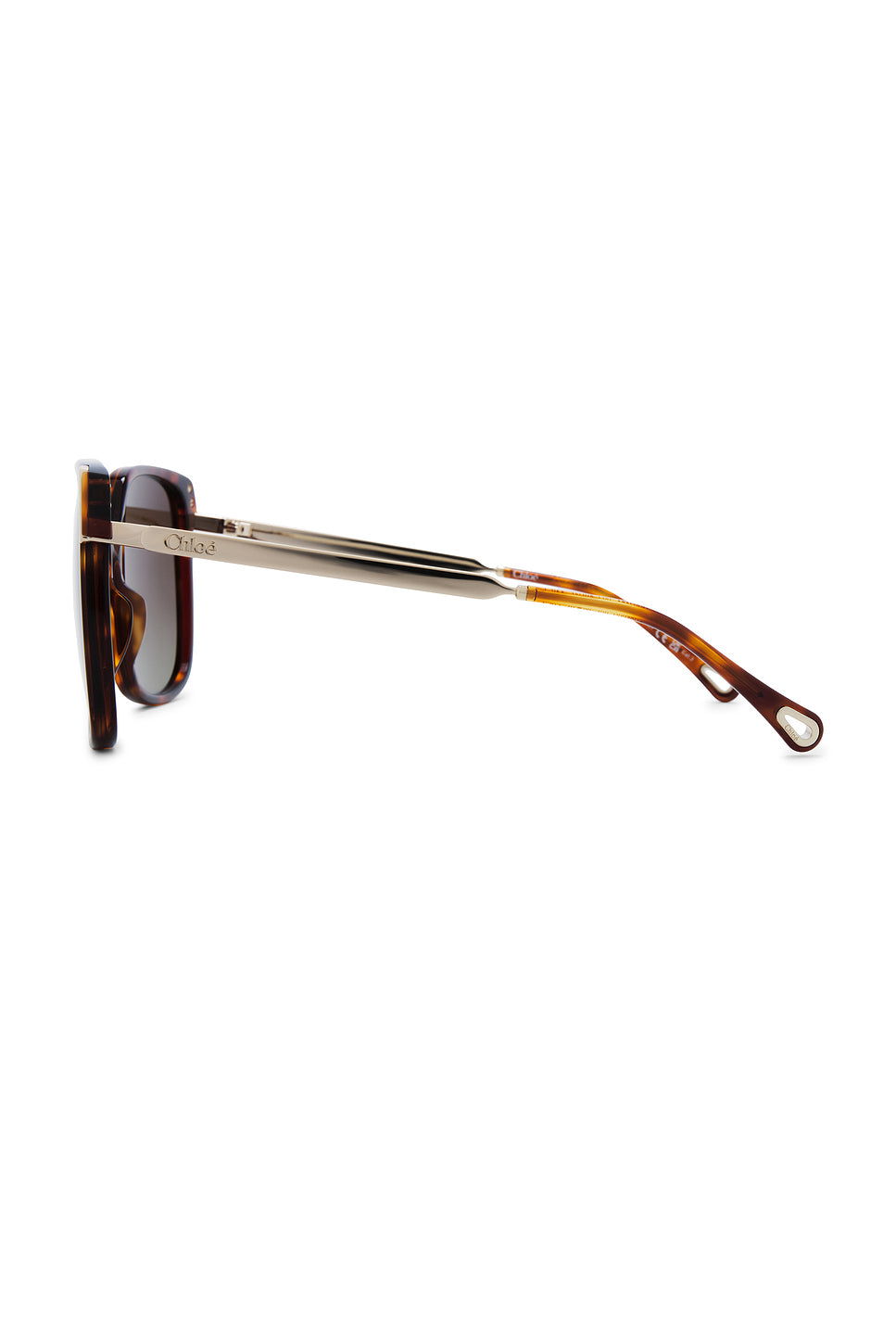 Aly Sunglasses