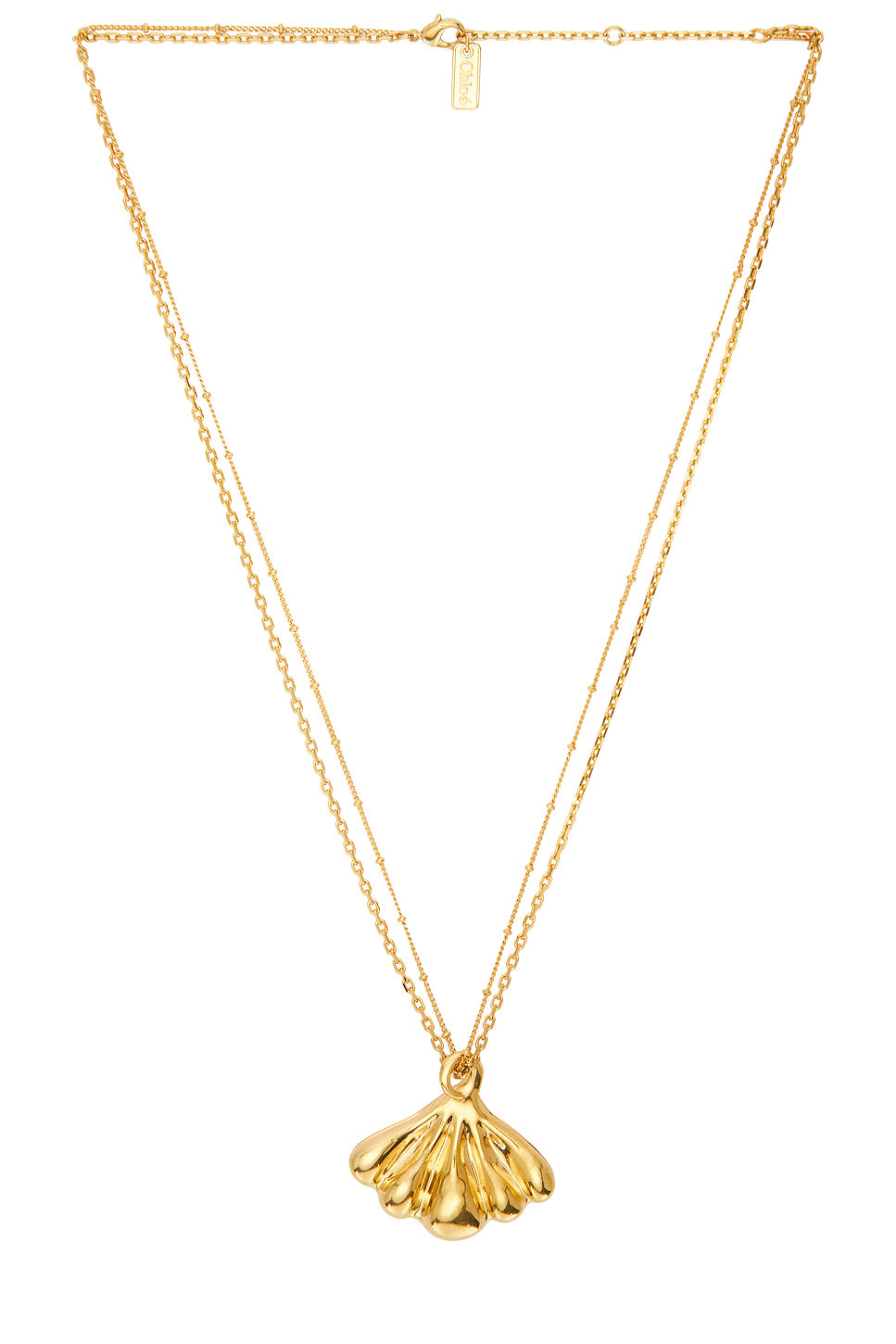 Seashell Necklace