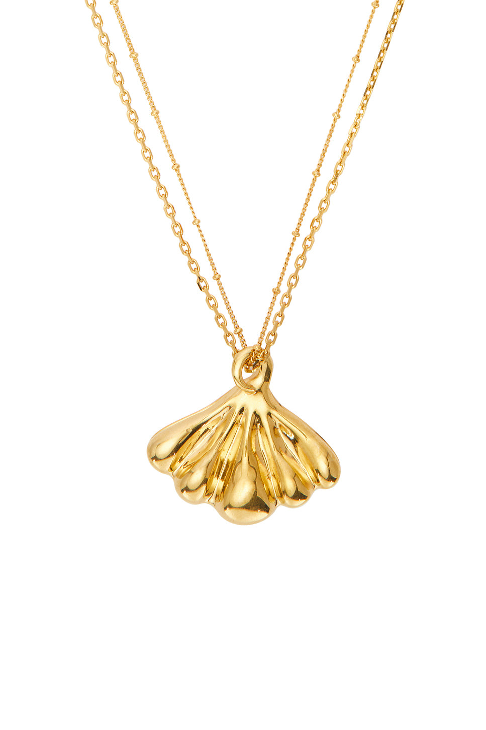 Seashell Necklace