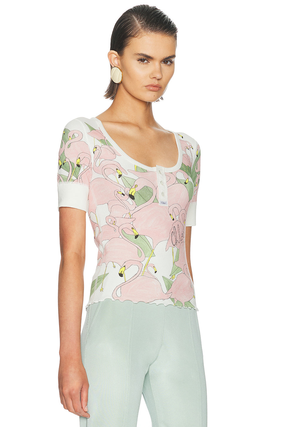Swan Printed Top