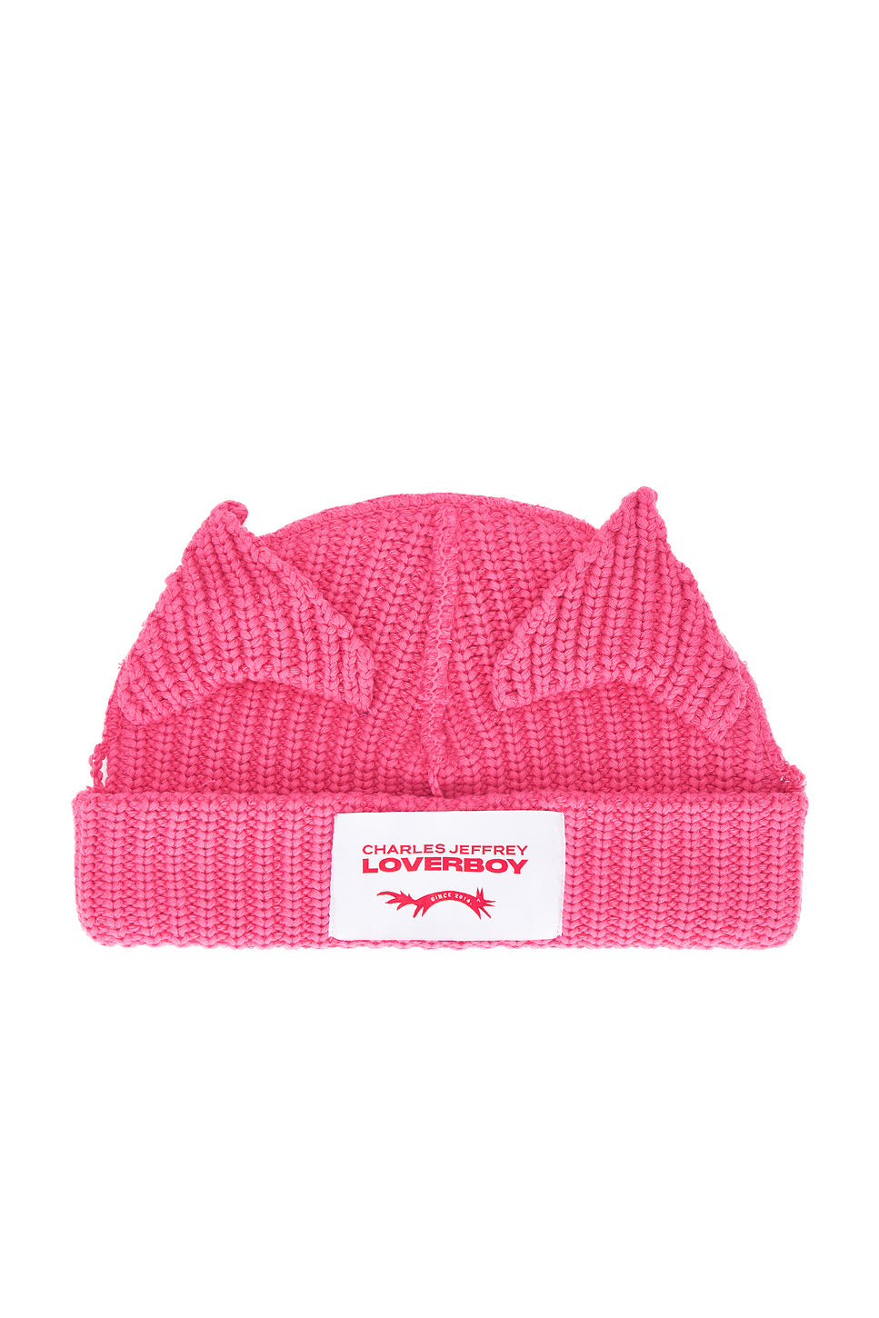 Chunky Ears Beanie
