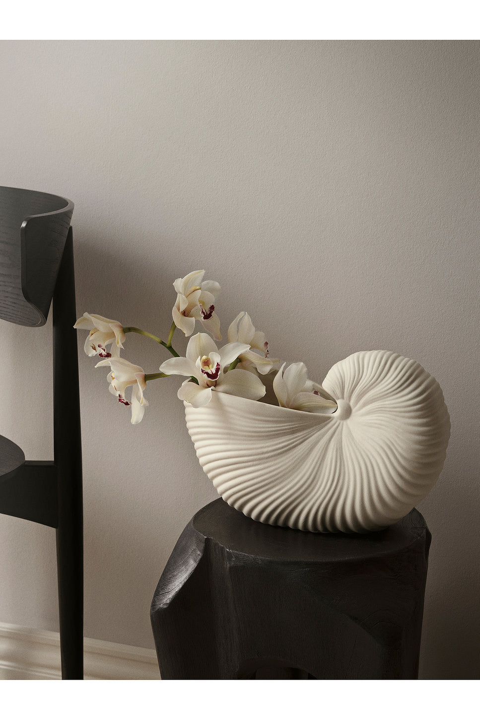 Shell Pot