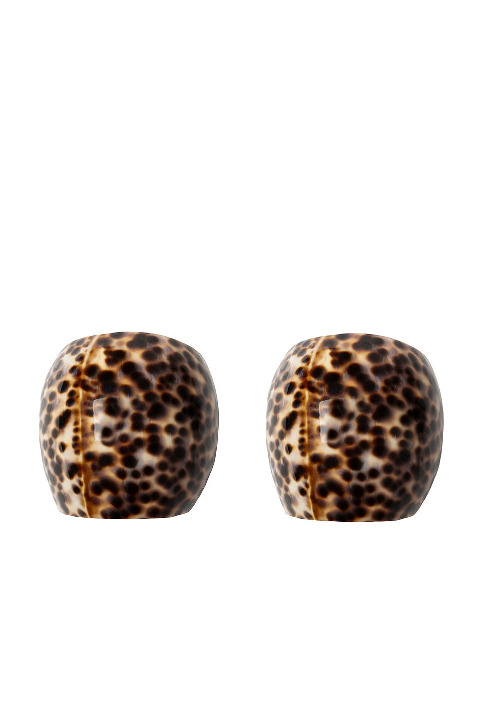Cowrie Shell Napkin Ring Set Of 2
