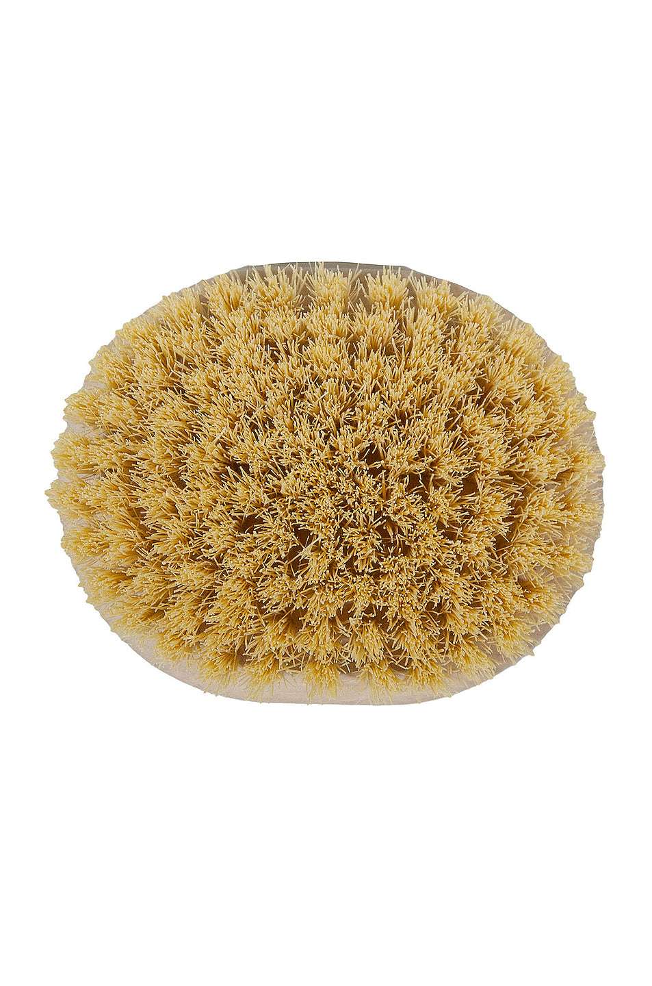 Dry Massage Body Brush