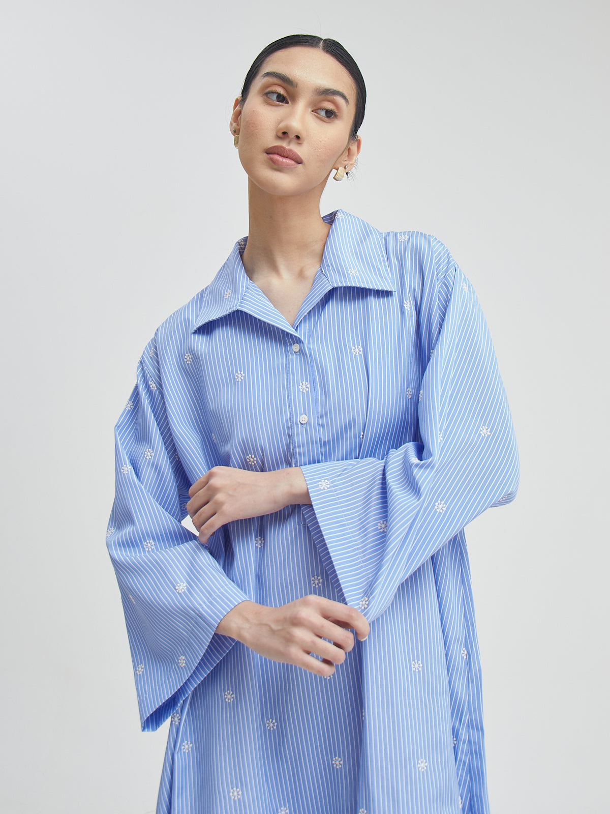 Iora Embroidery Dress