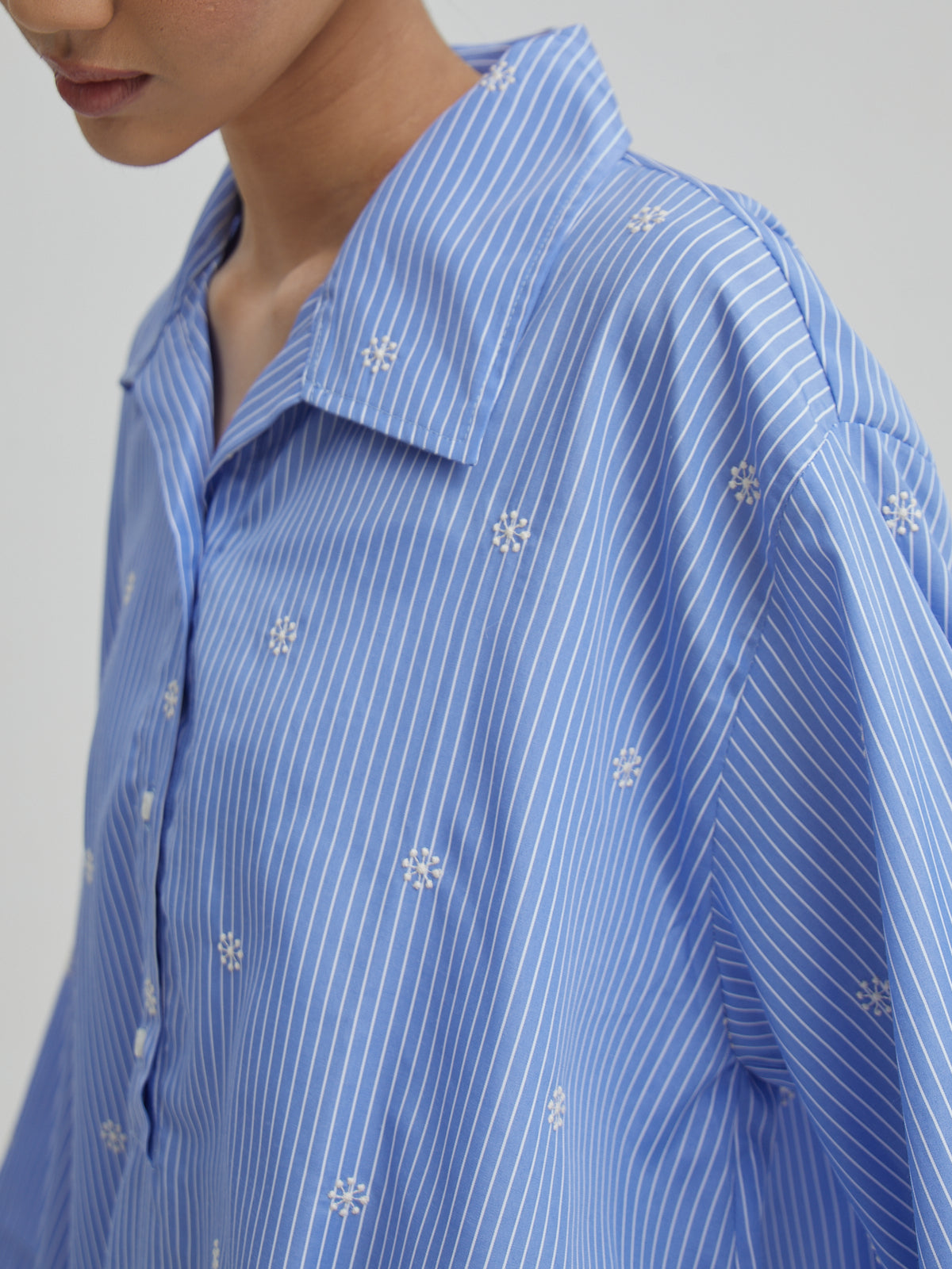 Iora Embroidery Dress