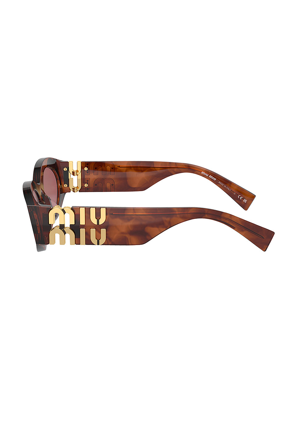 Oval Sunglasses