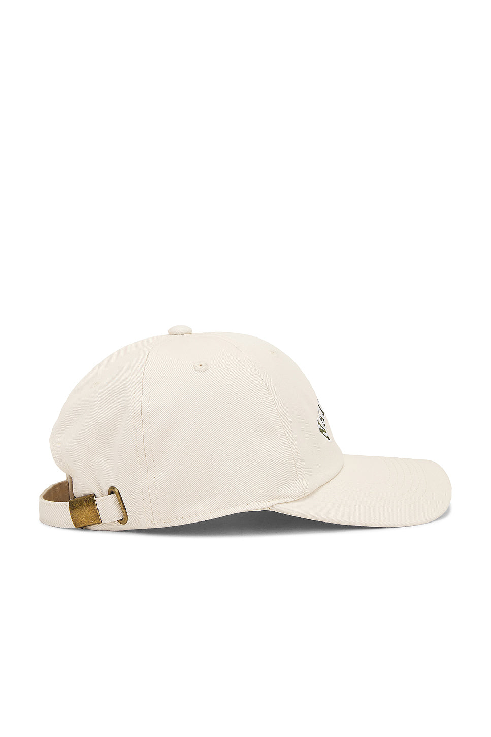 Naturalist Dad Hat