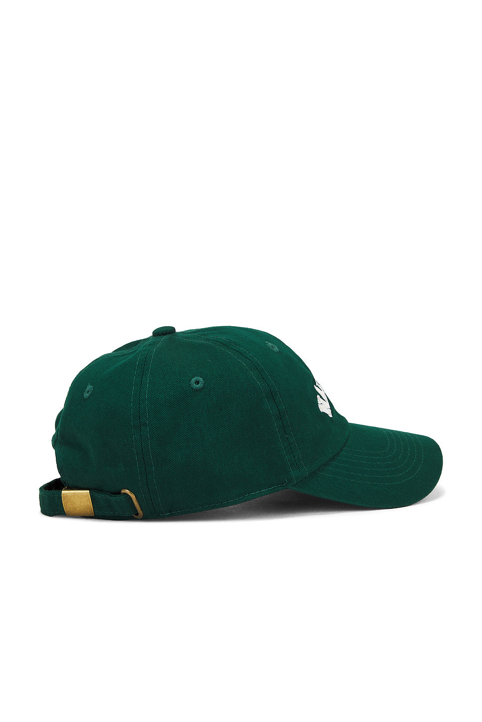 Naturalist Dad Hat