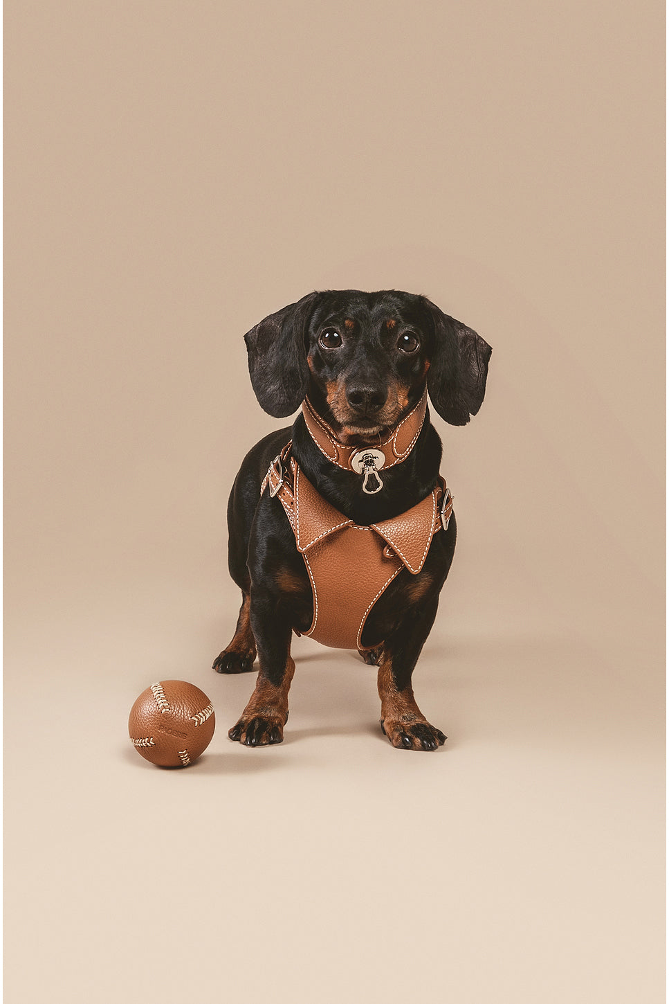 The Dorro Collar