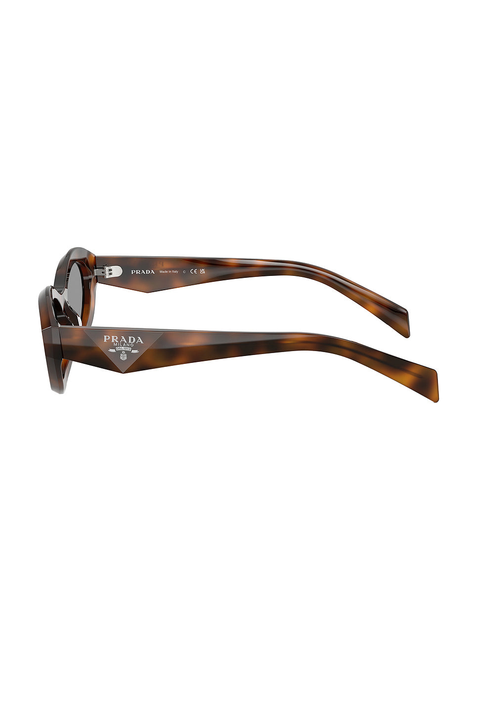 Cat Eye Sunglasses