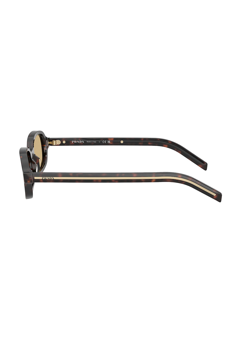 Oval Sunglasses