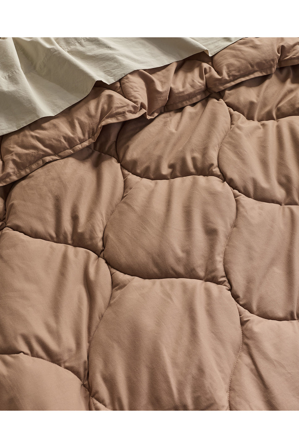 Cotton Drift Comforter