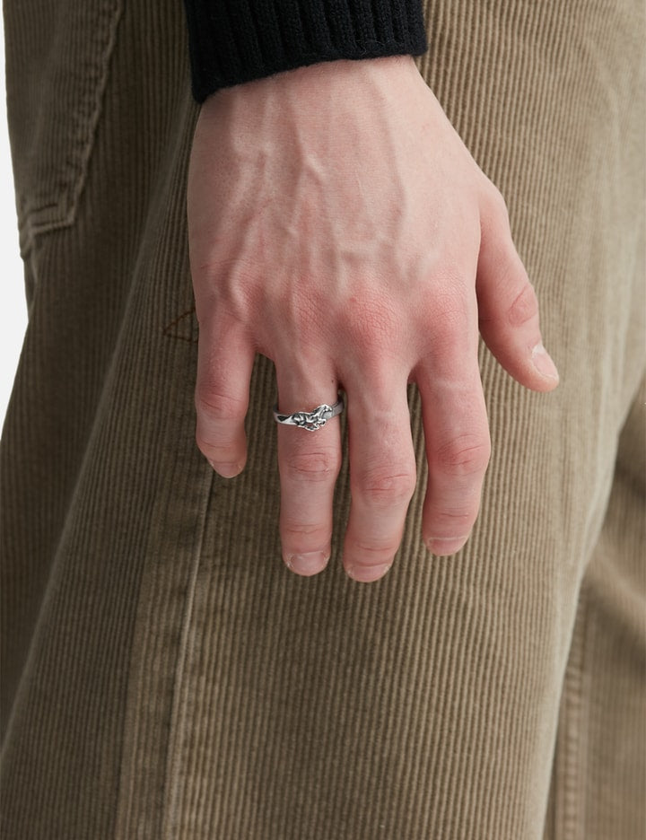 Big Icon Galloping Ring