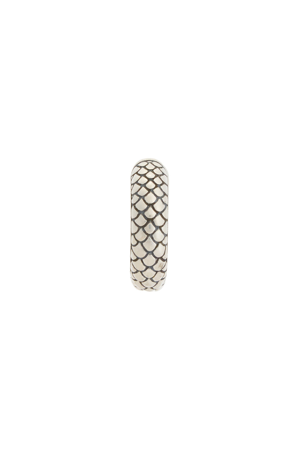 Reptile Earring