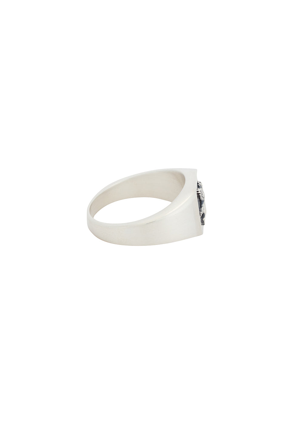 Pegasus Ring
