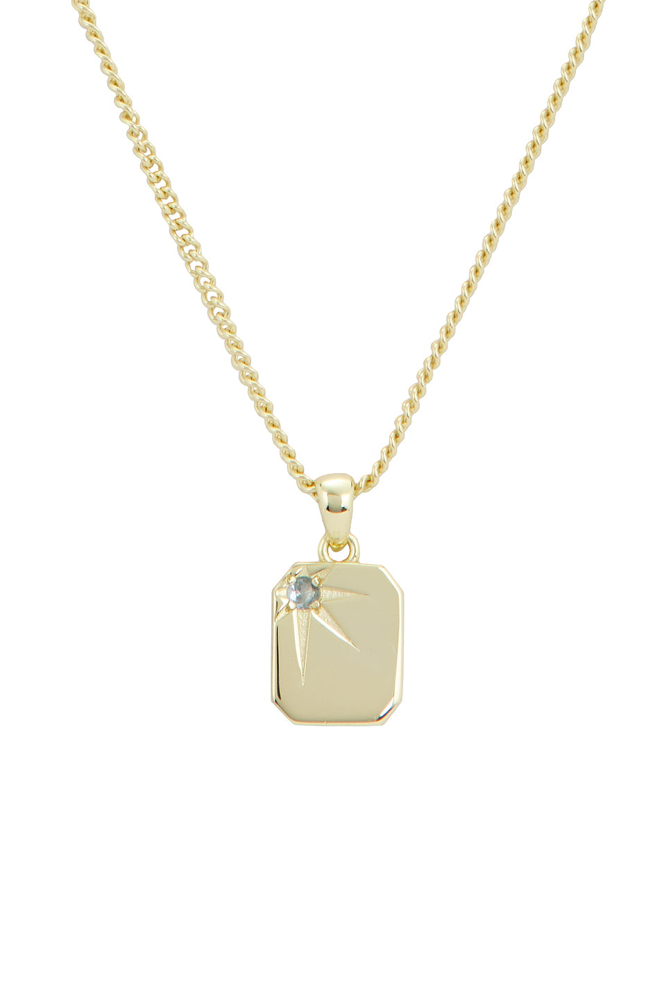 Guardian Necklace