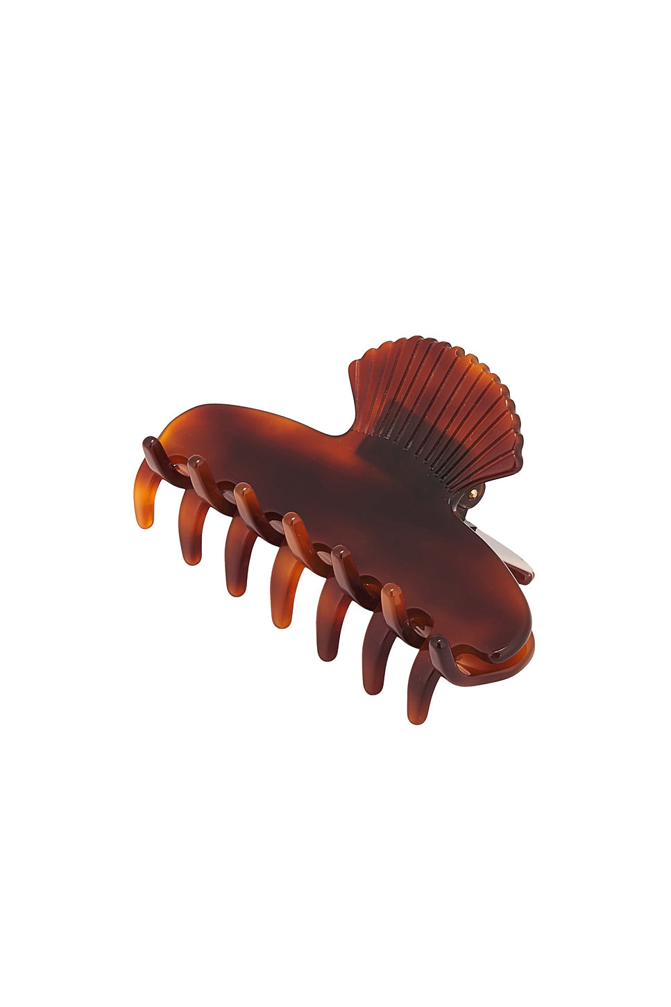 Small Fan Shell Hair Claw