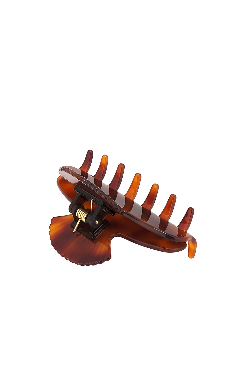 Small Fan Shell Hair Claw