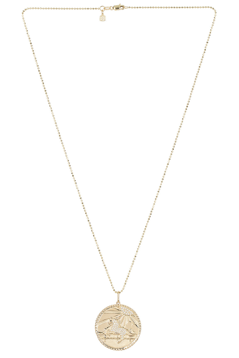 Horse Coin Charm Necklace