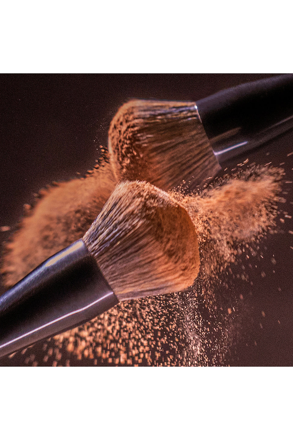 Powder Brush