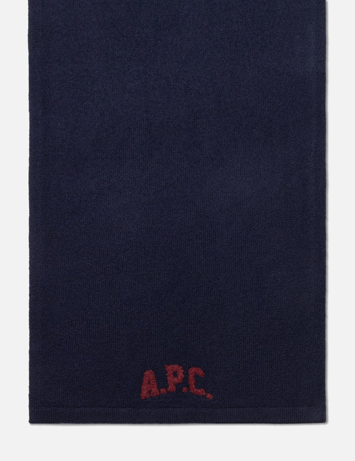 Jesse Scarf