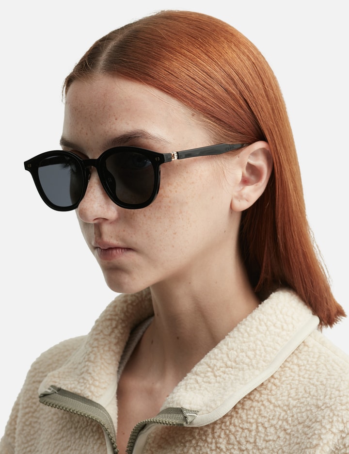 F001 Folding Sunglasses