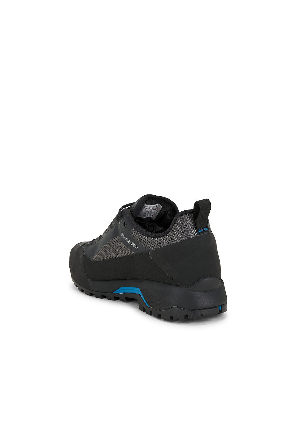 Men's Verto Alpine Gore-Tex