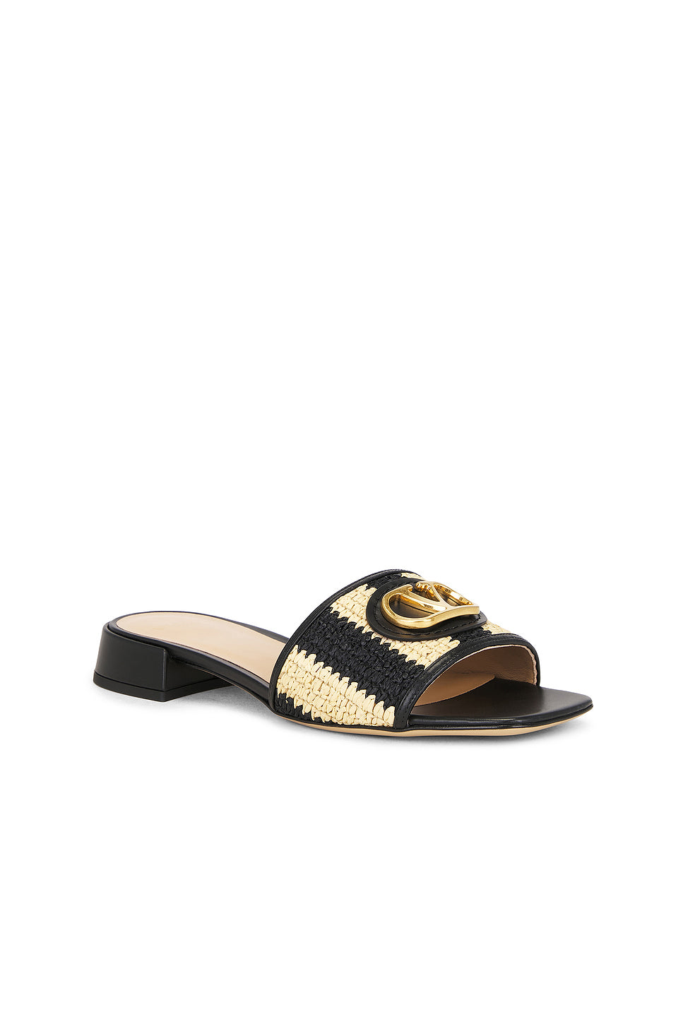 VLogo Signature Slide