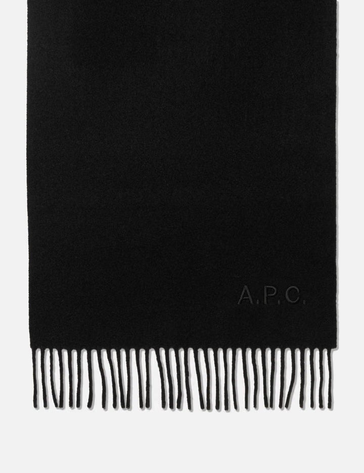 Ambroise Brodée Scarf