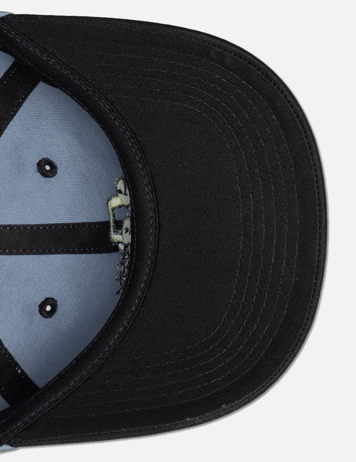 Turtle 6 Panel Cap
