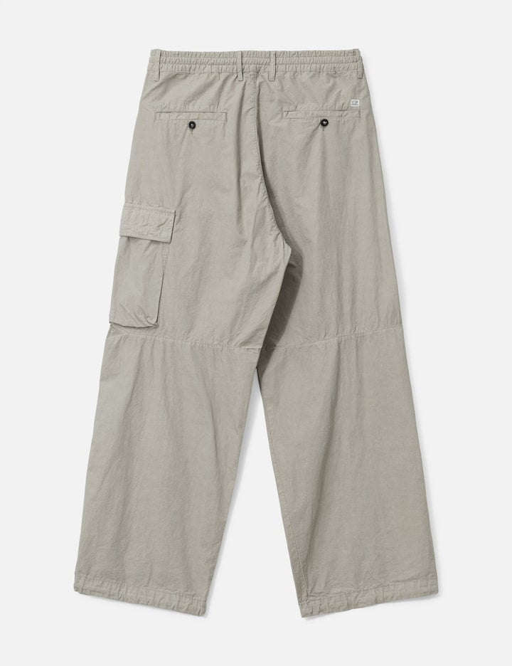 Pants Cargo Pant In Microreps