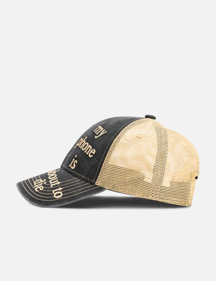 Phone Hat
