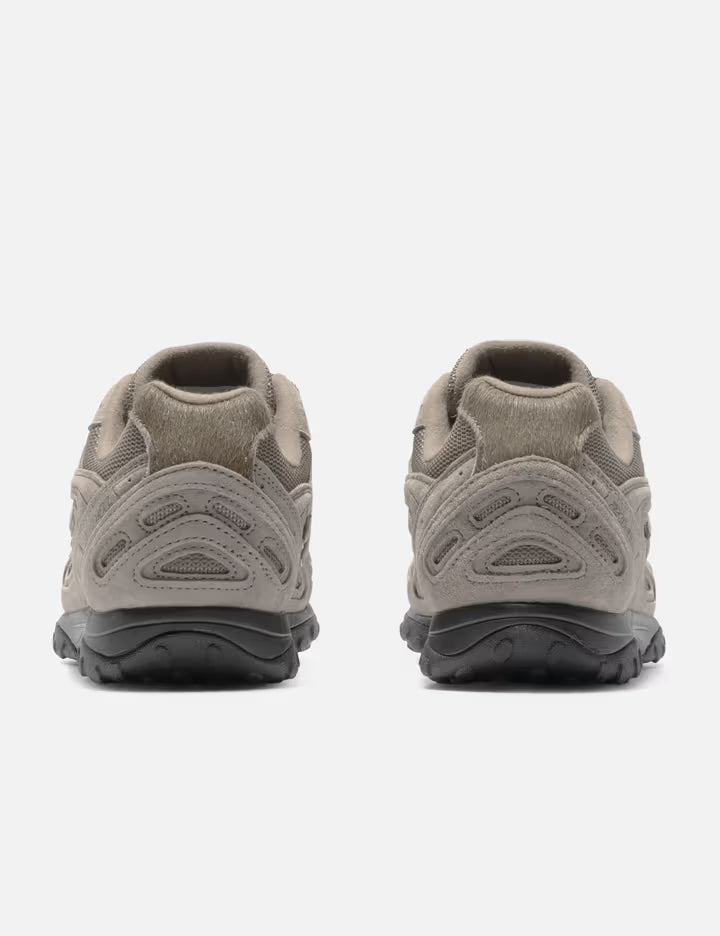 Lunar New Year 204L