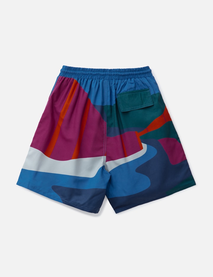 The Festival Fence Swim Shorts