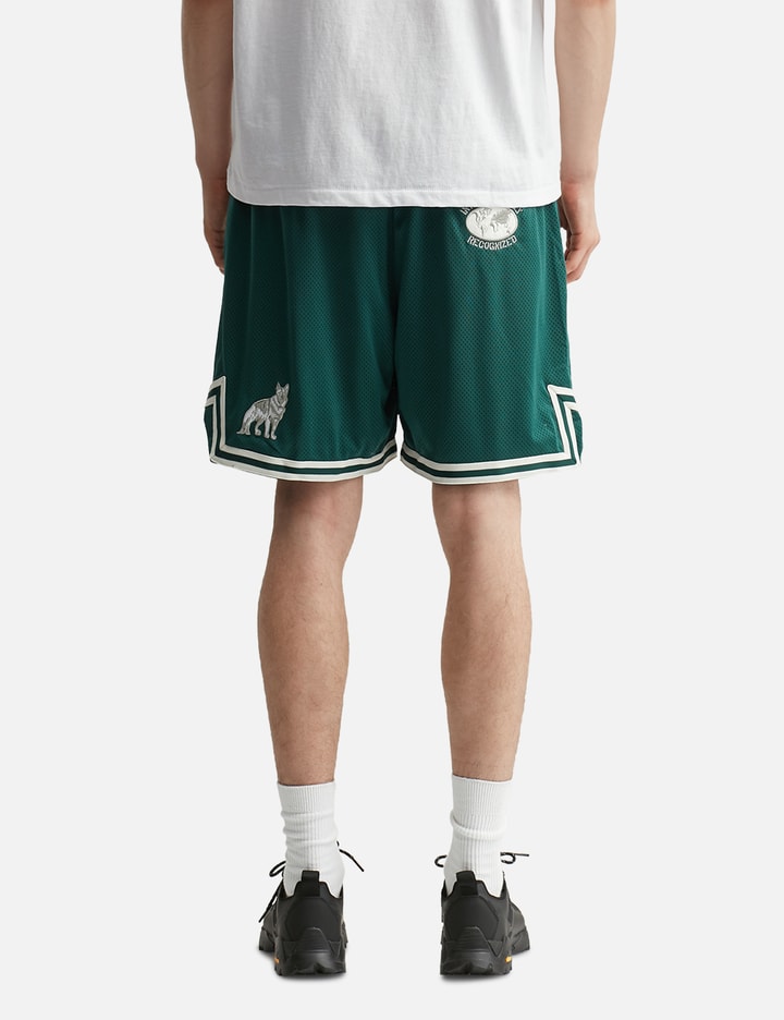 International Game Shorts