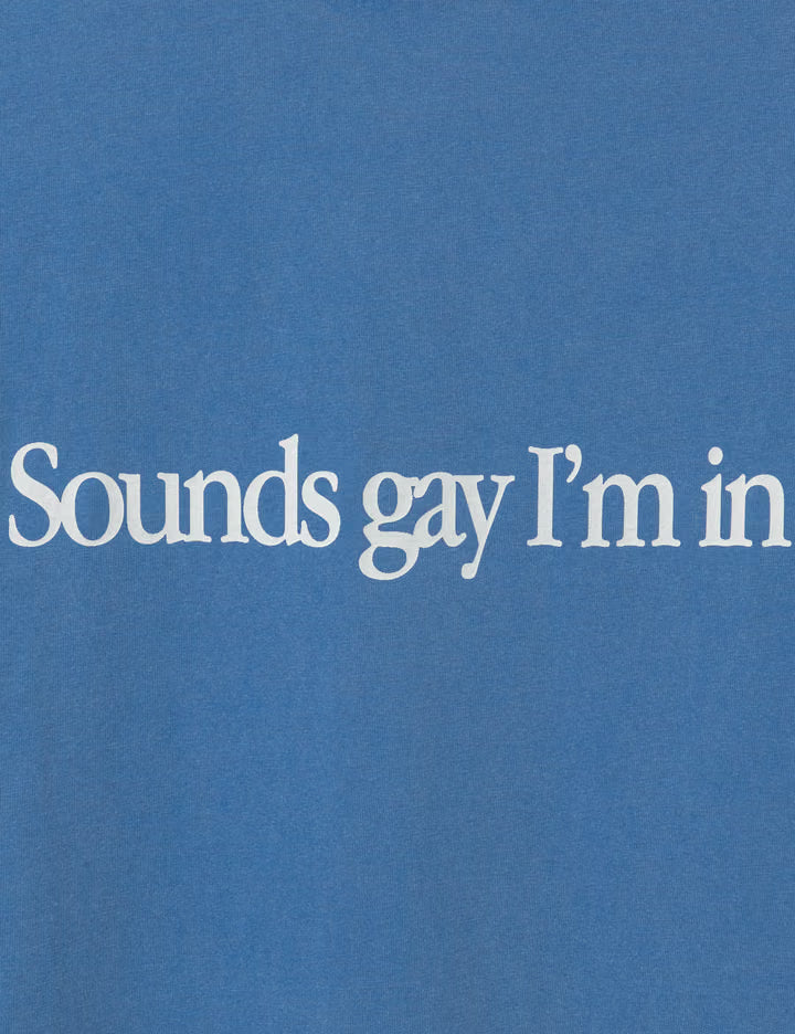 Simply Sounds Gay