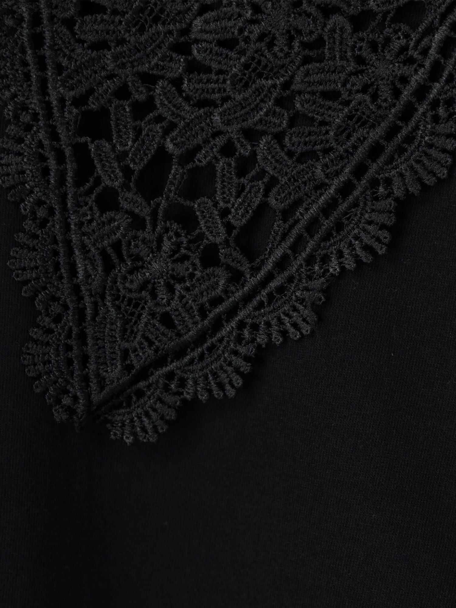 Mimosa Collar Lace Pullover