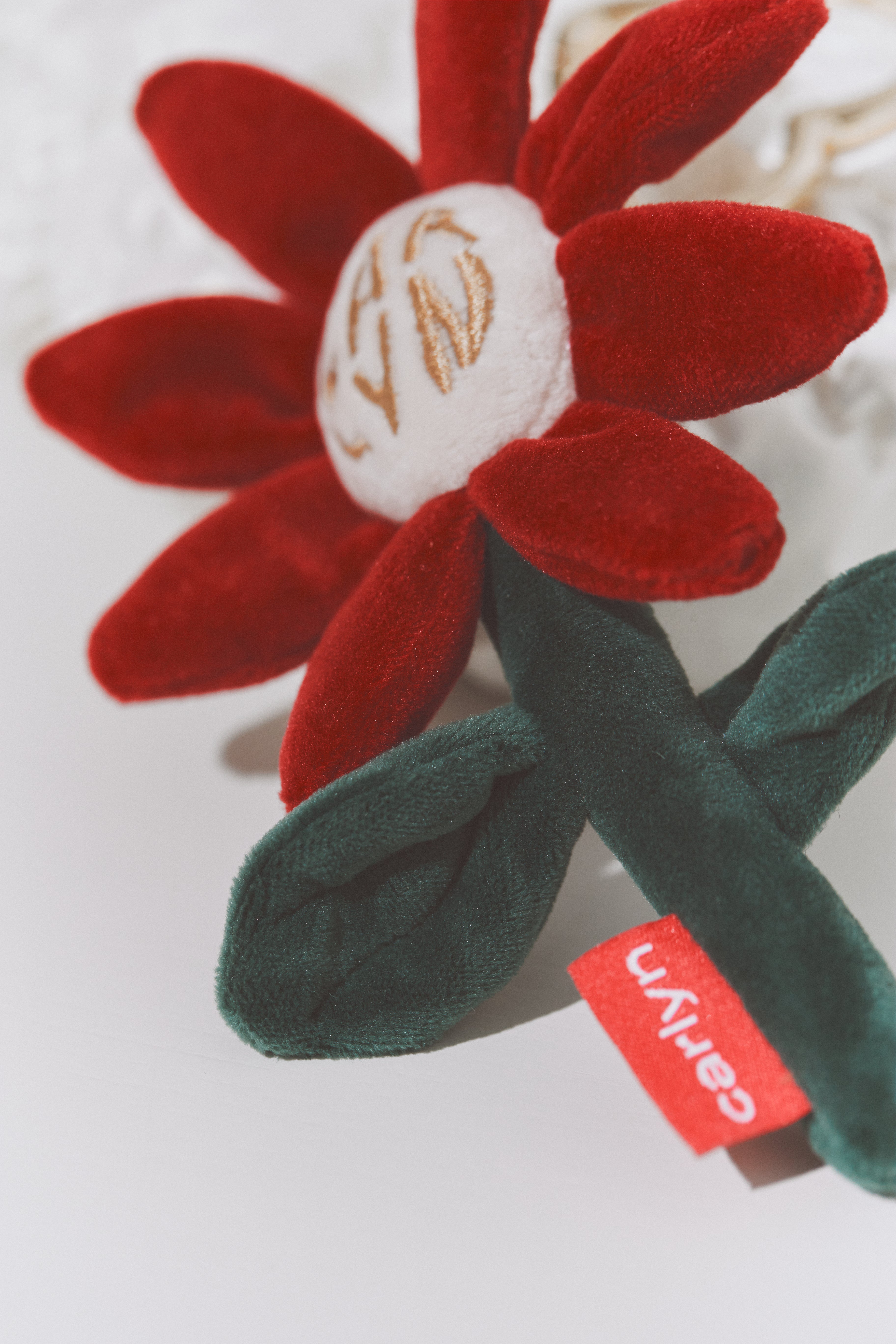 CARLYN X FRESHPLUSH FLOWER KEYRING