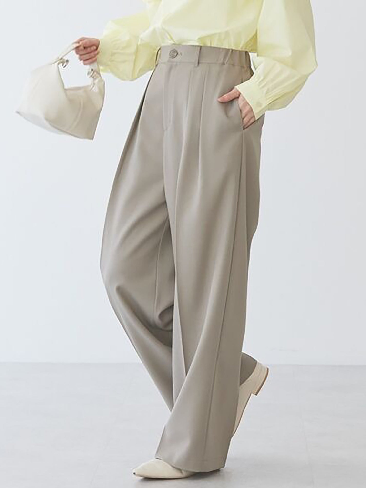 Sendan Tuck Wide Pants