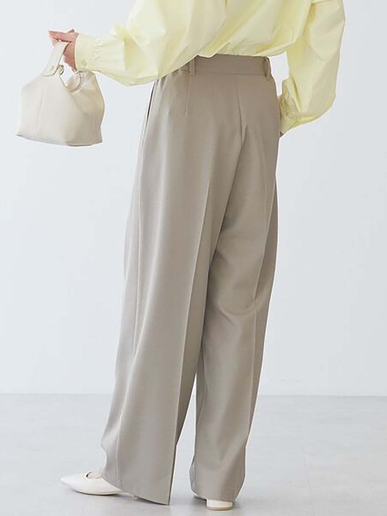 Sendan Tuck Wide Pants