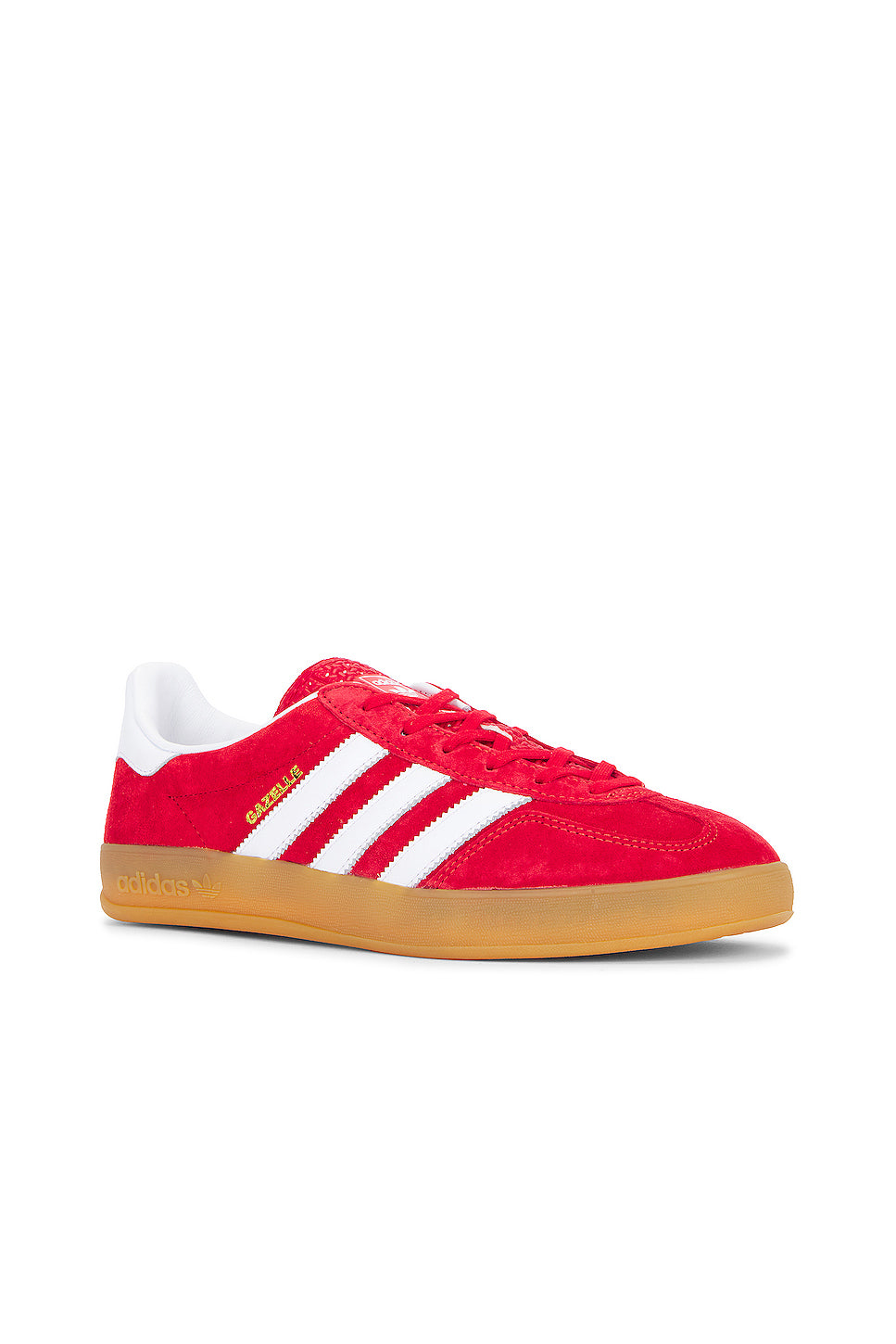 Gazelle Indoor