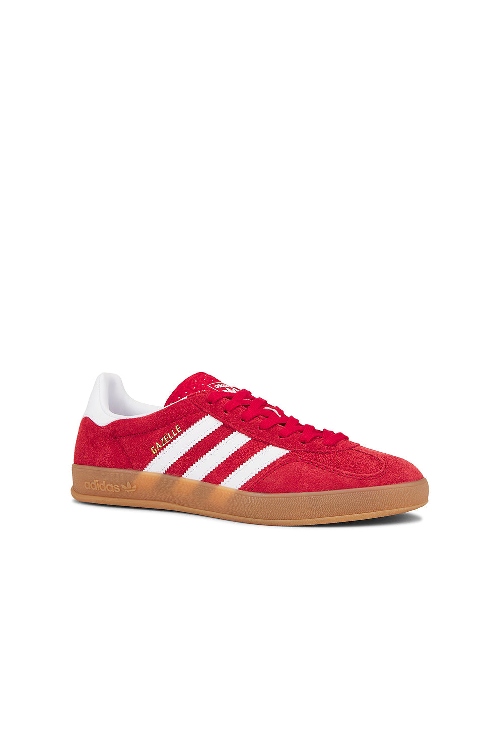 Gazelle Indoor