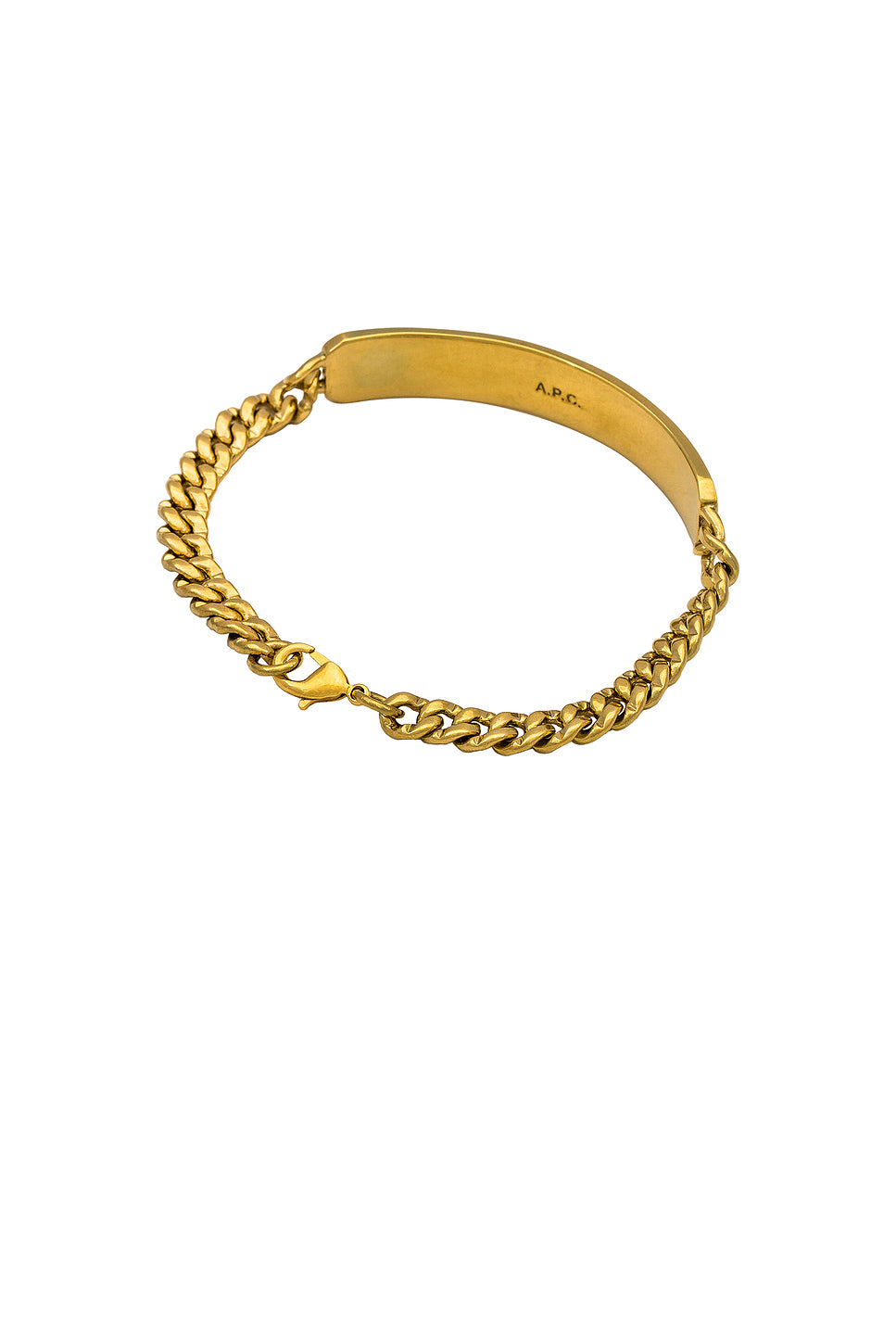 Darwin Gourmette Bracelet