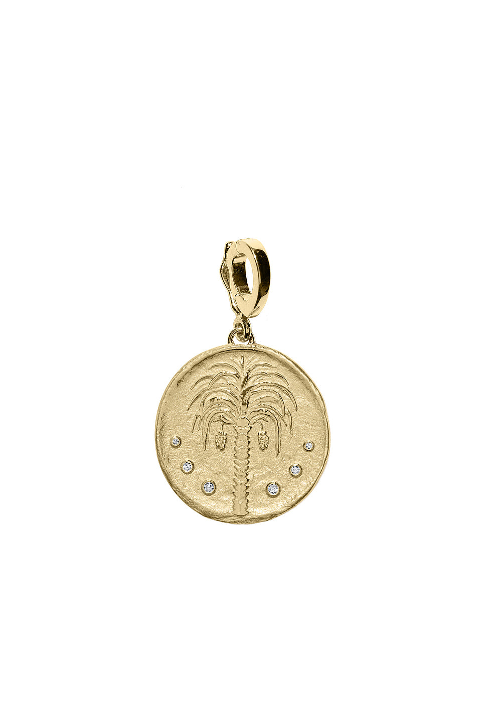 Prosperity Palm Small Coin Charm