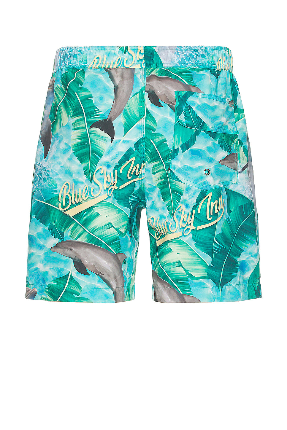 Dolphin Swim Trunks