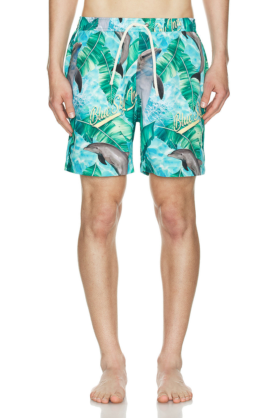 Dolphin Swim Trunks